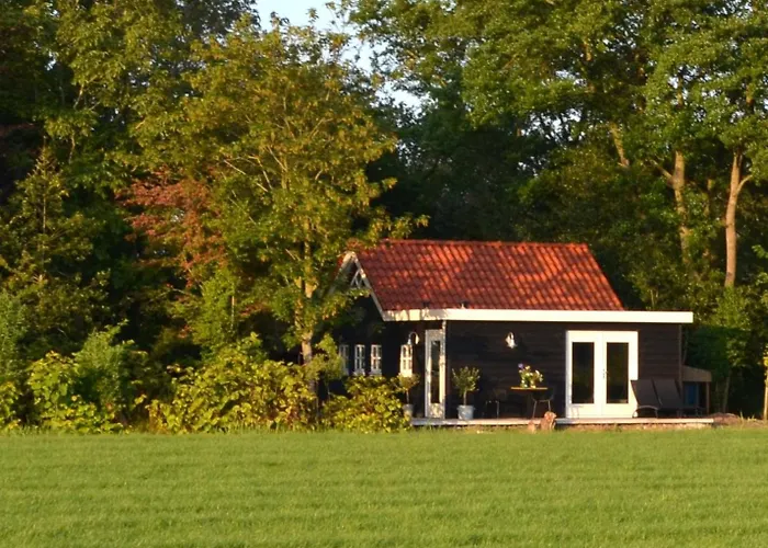 Prive In Een Bosrijke Omgeving Welkom Bij Gastenverblijf Het Ontsnapte Schaap In Jubbega