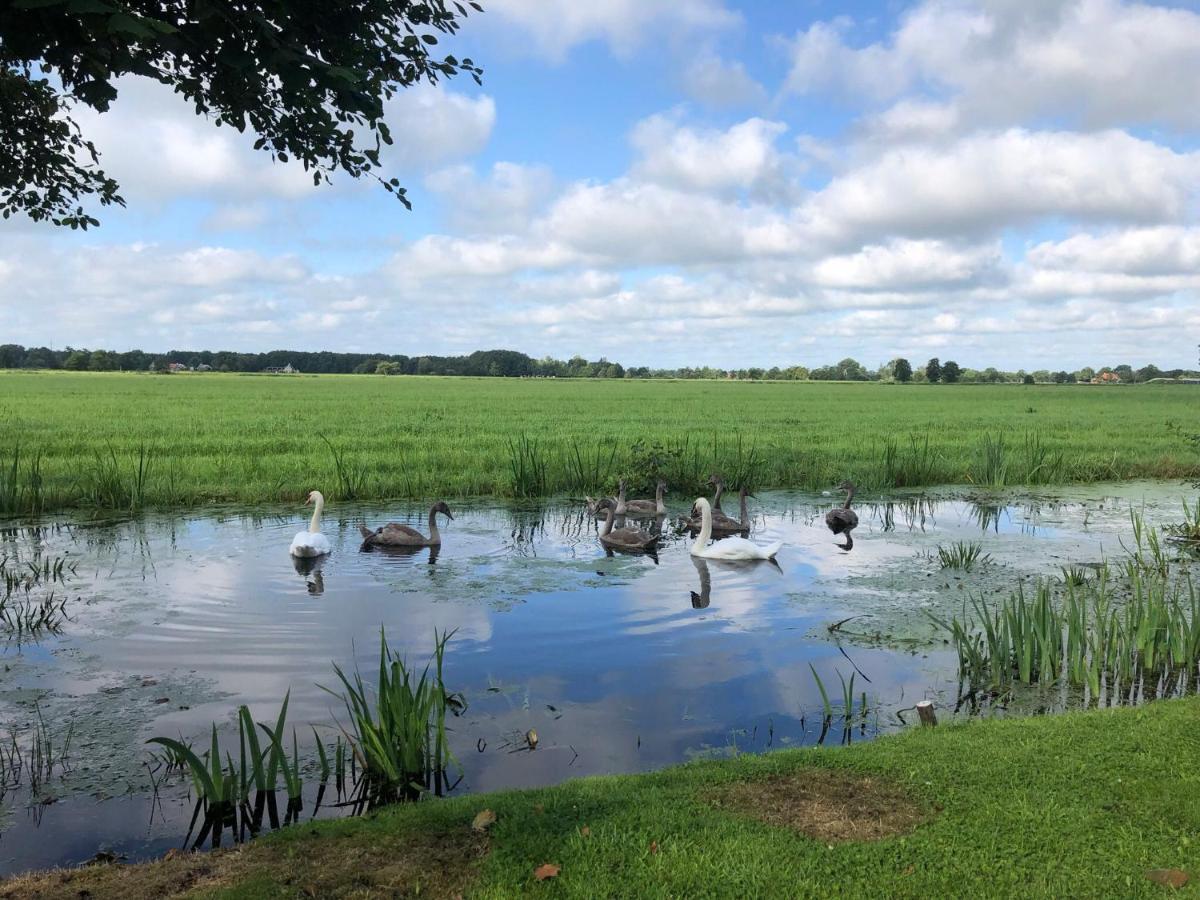 Holiday home Prive In Bosrijke Omgeving Welkom Bij Het Ontsnapte Schaap In *