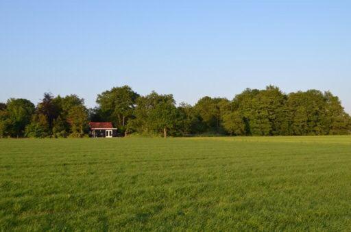Prive In Bosrijke Omgeving Welkom Bij Het Ontsnapte Schaap In Holiday home Jubbega-Schurega
