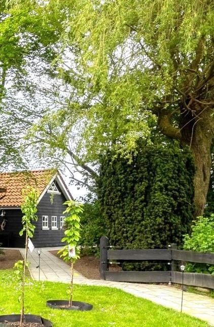 Holiday home Prive In Bosrijke Omgeving Welkom Bij Het Ontsnapte Schaap In