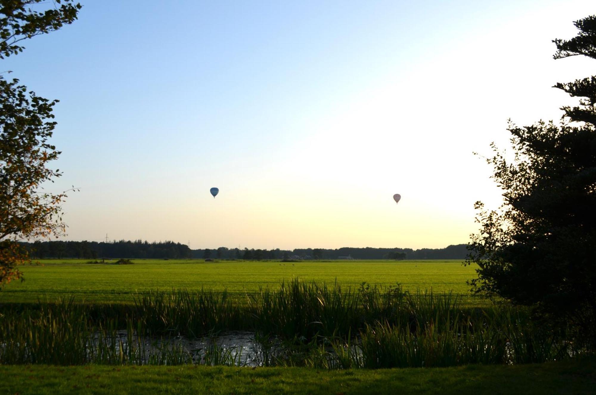 Prive In Bosrijke Omgeving Welkom Bij Het Ontsnapte Schaap In Holiday home *