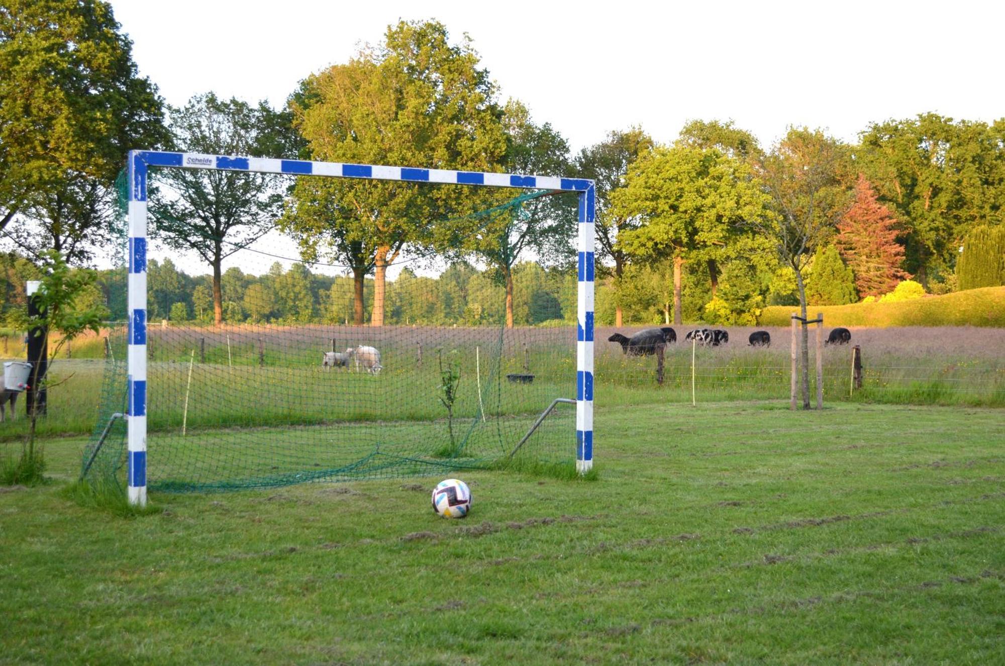 Prive In Bosrijke Omgeving Welkom Bij Het Ontsnapte Schaap In Jubbega-Schurega
