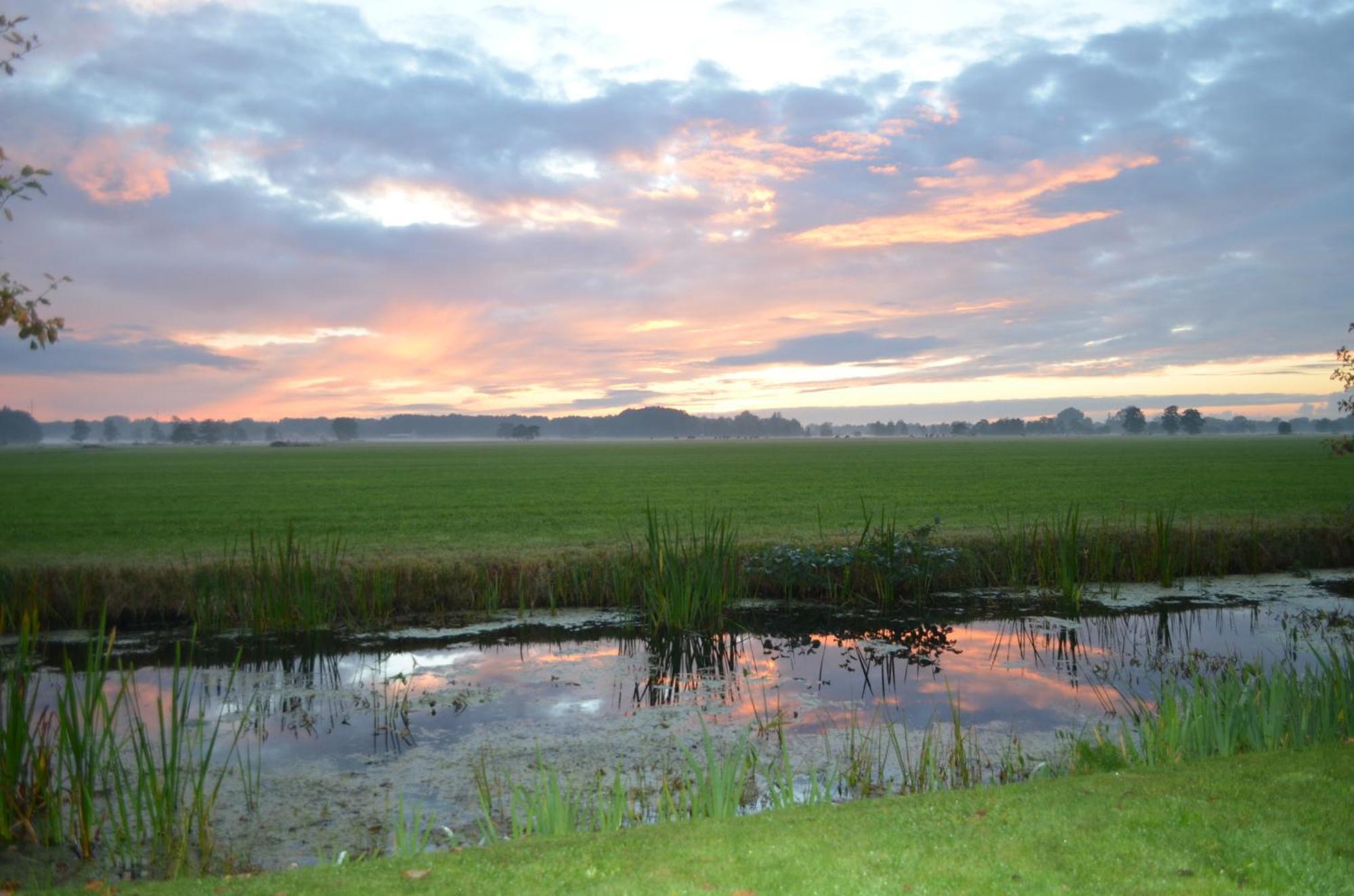 Prive In Bosrijke Omgeving Welkom Bij Het Ontsnapte Schaap In Holiday home Jubbega-Schurega